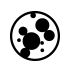 Mold