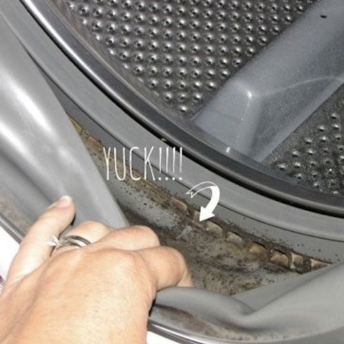 mold in washing machine