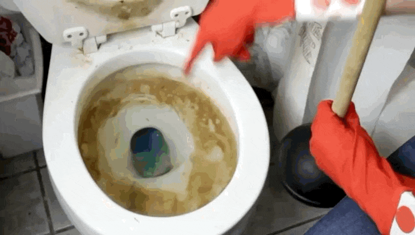 Disgusting Toilet