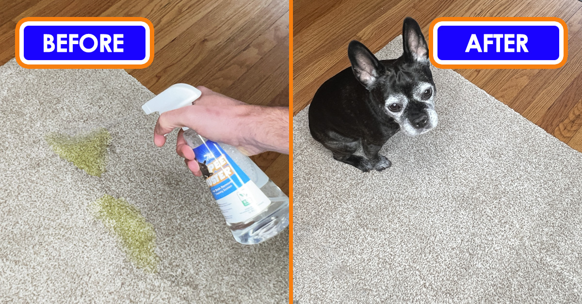 Before and After Pee Buster