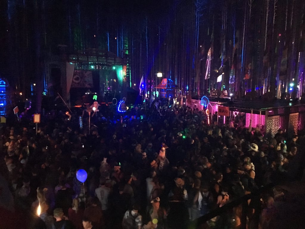 The Forest Stage