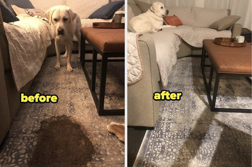 Before After Pee Buster