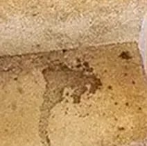 Before image