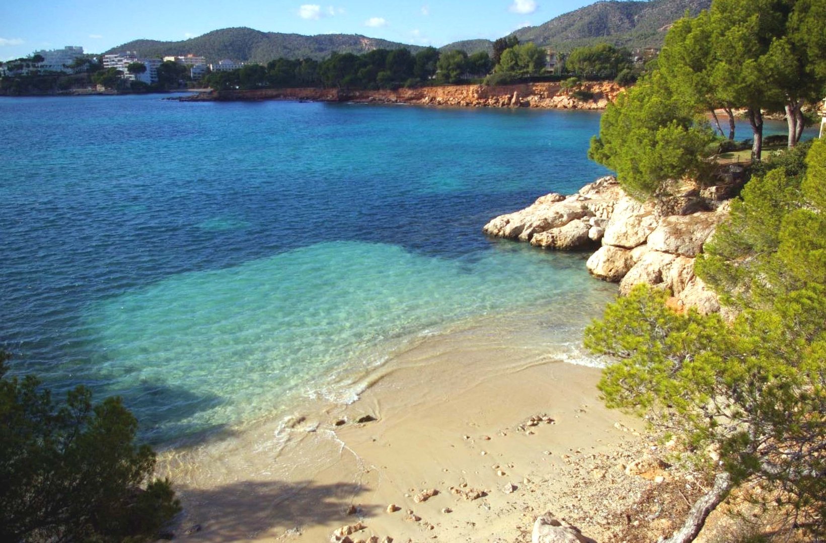 Punta Negra 1