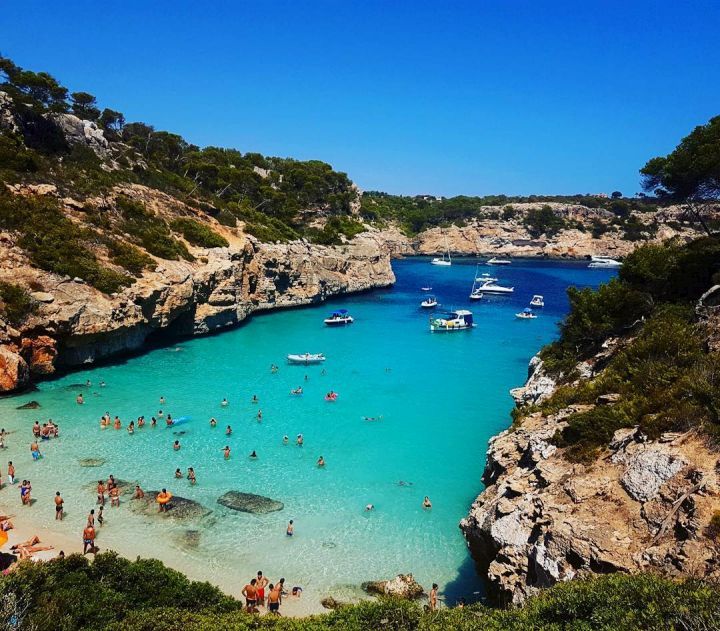 Cap Falcó 1