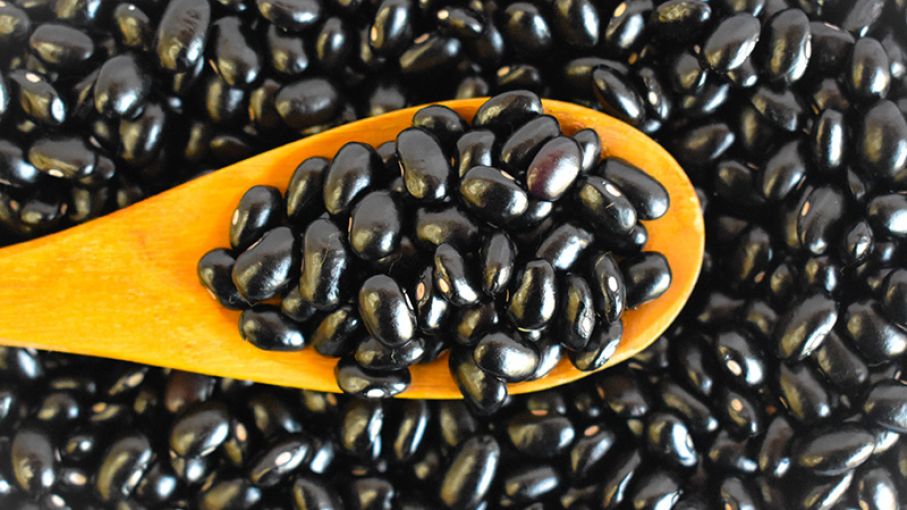 Porotos negros Bolson