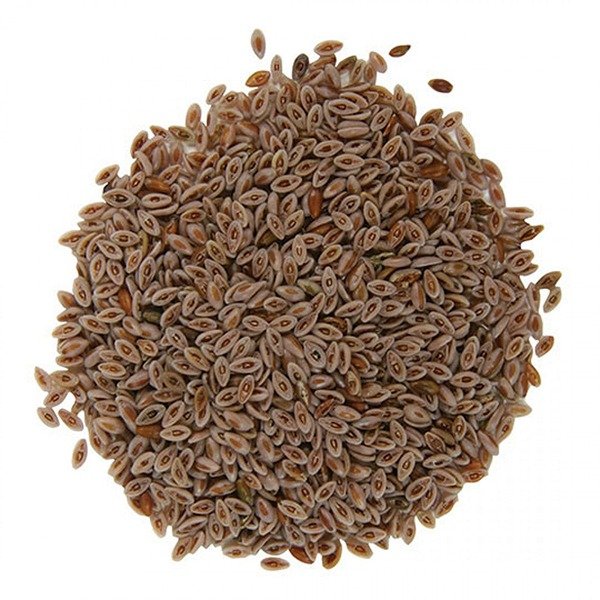 Psyllium