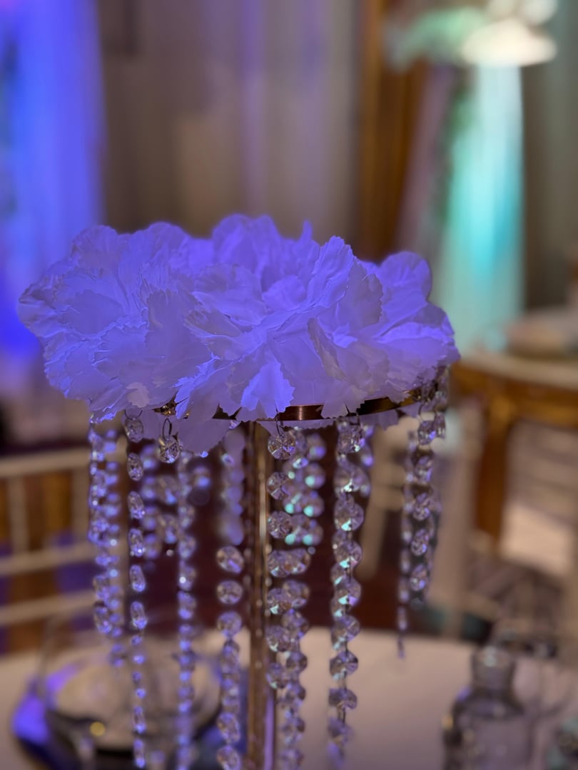 Ambientación y decoración del salón para el evento