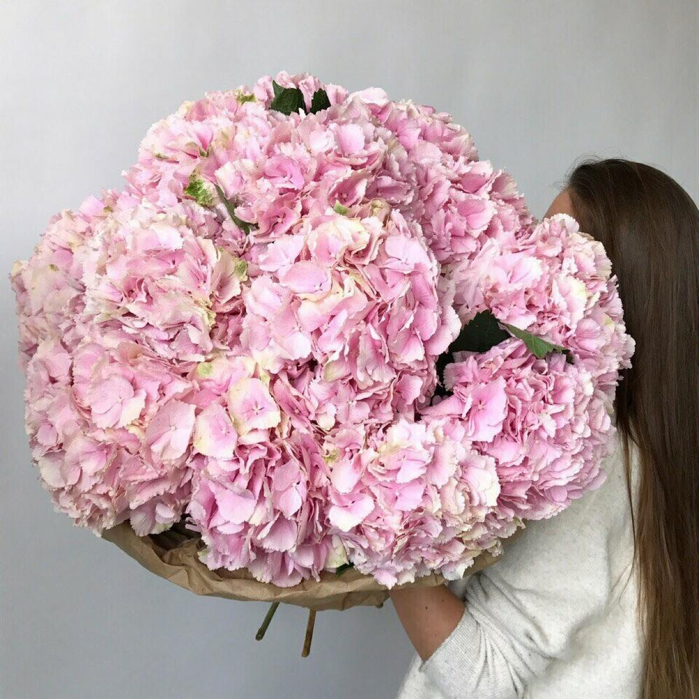 Bouquet 'Beautiful composition of 15 Hydrangeas' Order Flower