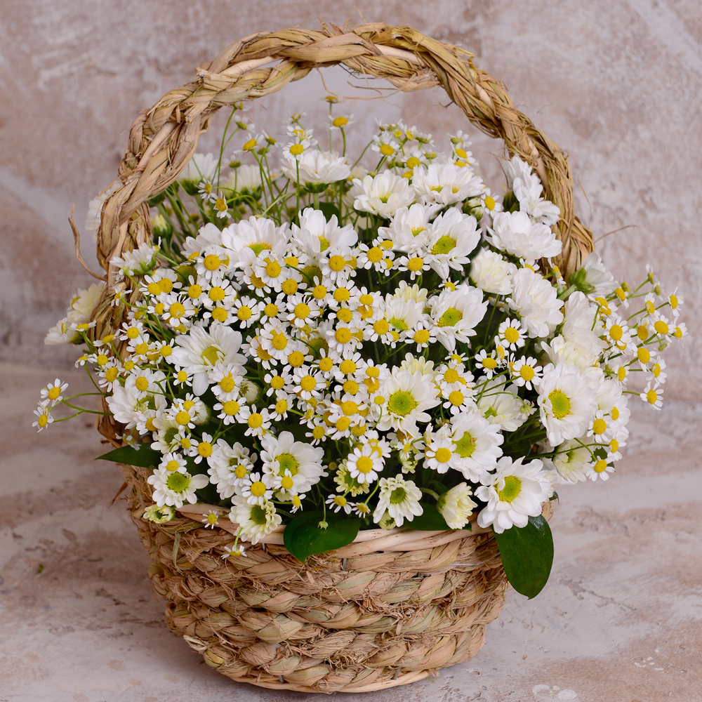 Pretty Basket of Daisy Chrysanthemum and Lisianthus Pretty Basket of Daisy Chrysanthemum and Lisianthus