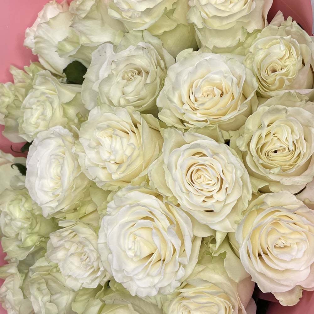 Buy/Send White Winter Roses Bouquet Online- FNP