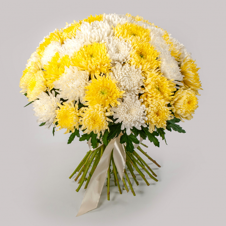 Bouquet of 51 yellow-white chrysanthemums Single - order and send for 218 $  with same day delivery - MyGlobalFlowers