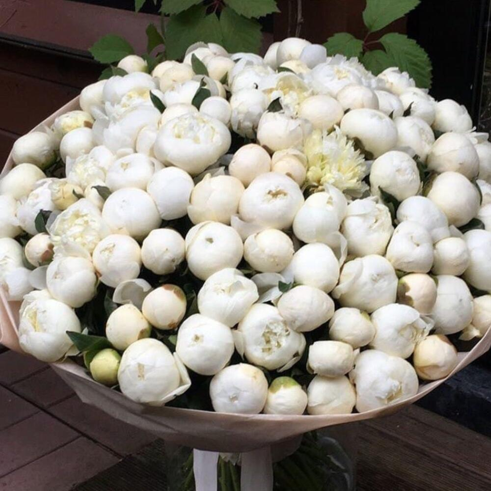 Букет «101 Белоснежный пион» - заказать и купить за 65 890 ₽ с ...