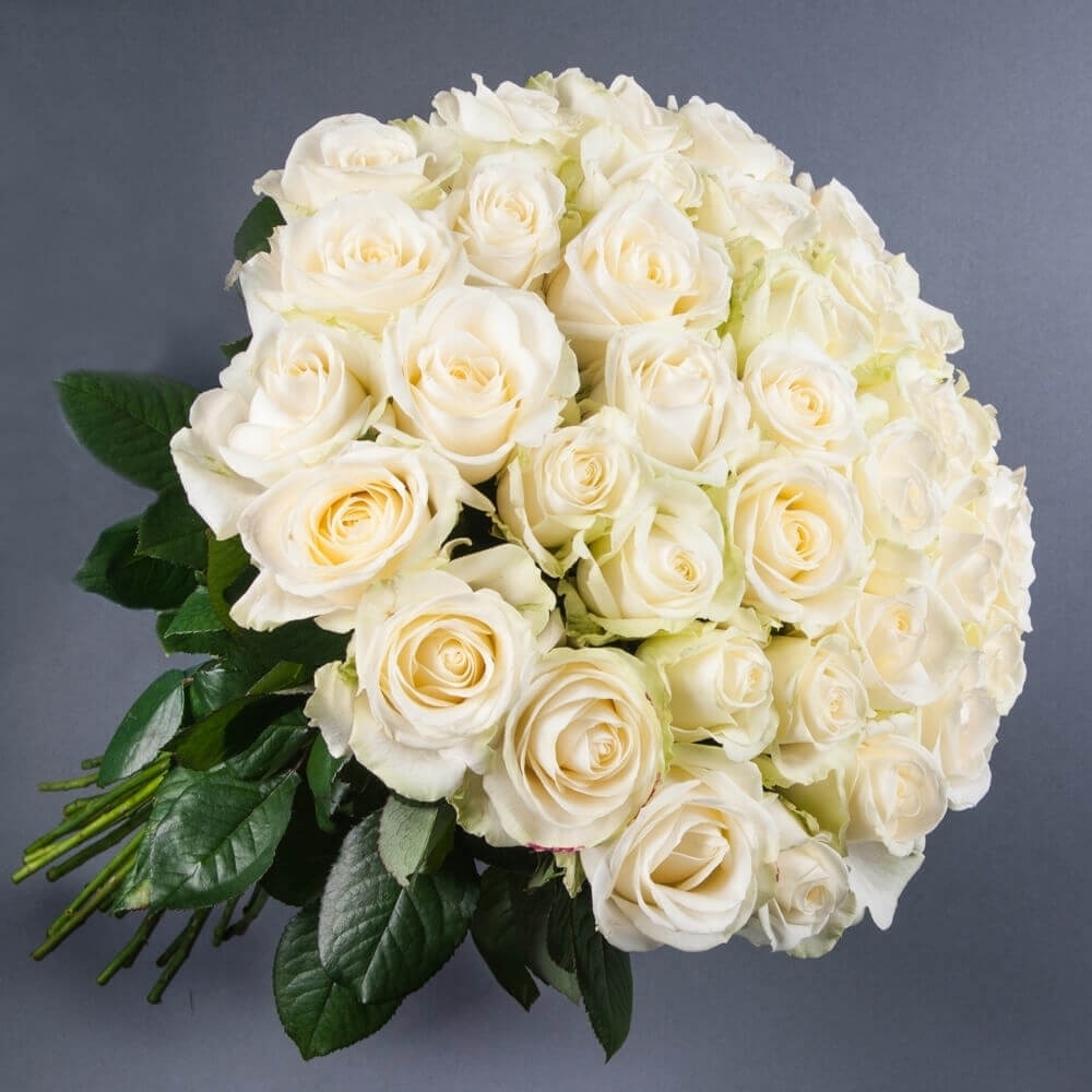 Bouquet of 51 white roses 50 cm | Order Flower Bouquets Delivery