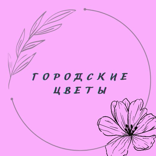 Городские цветы