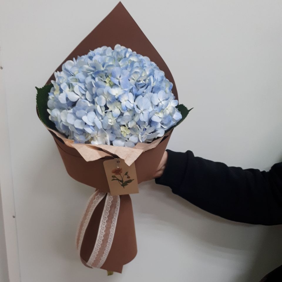 Bouquet «Hydrangea» — MyGlobalFlowers