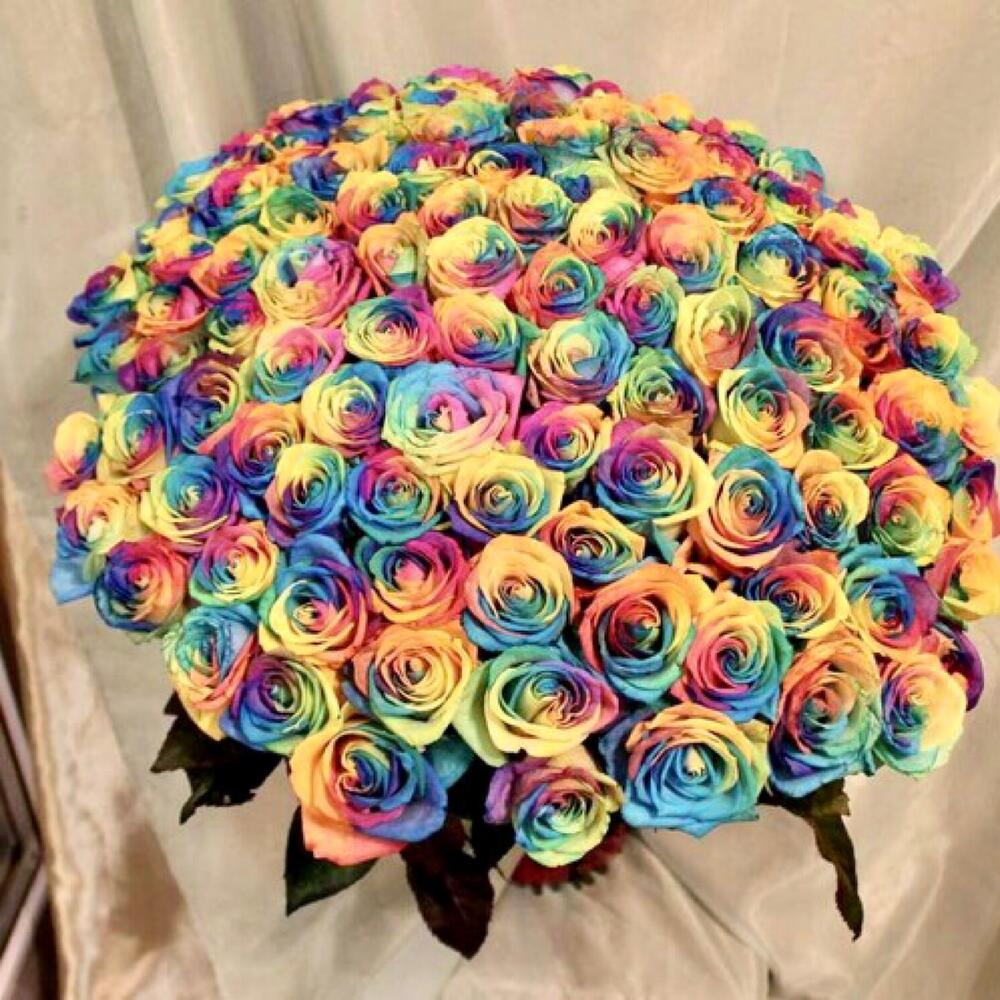 Rainbow rose bouquet new arrivals