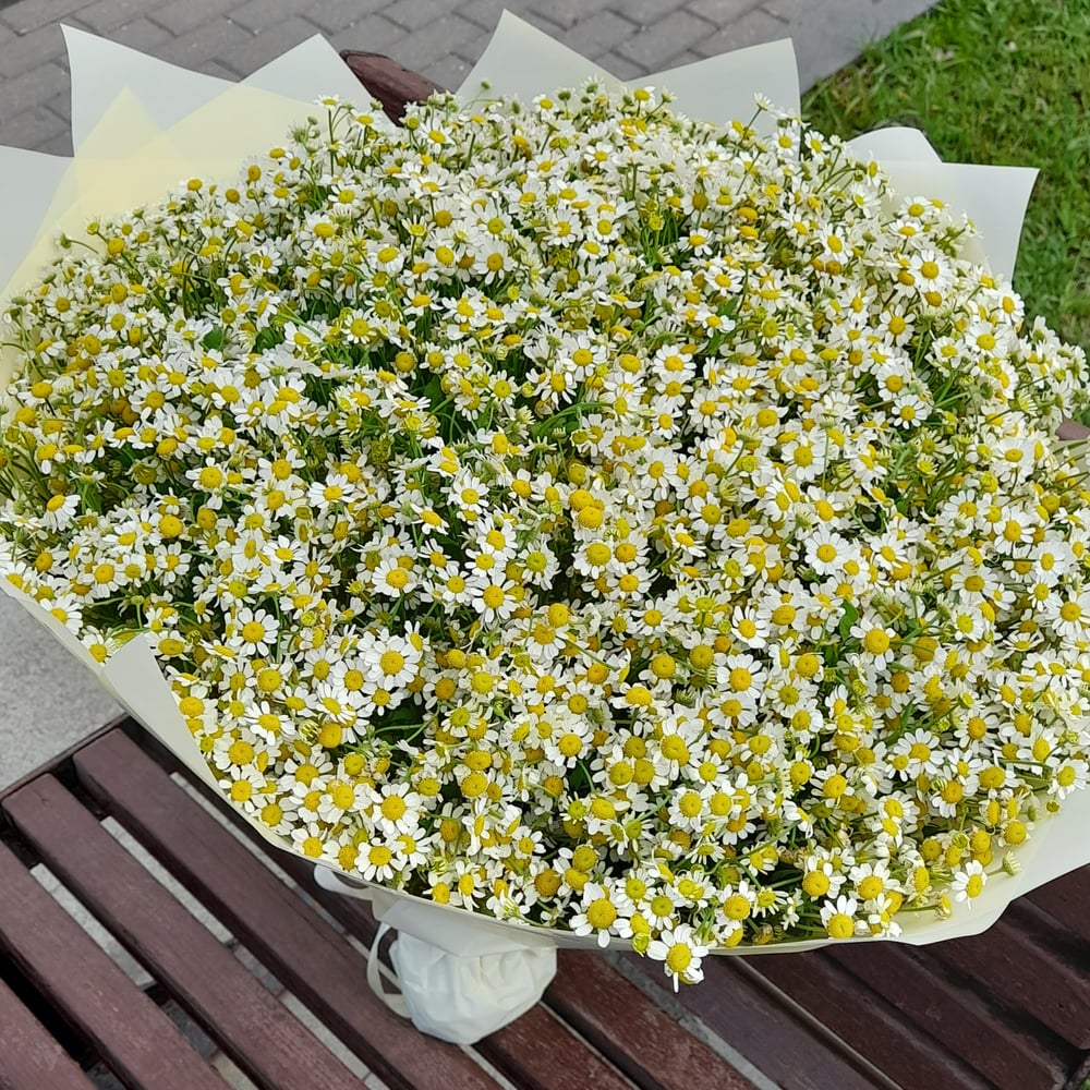 Bouquet "Chamomile Paradise" Flowers | Flower Delivery