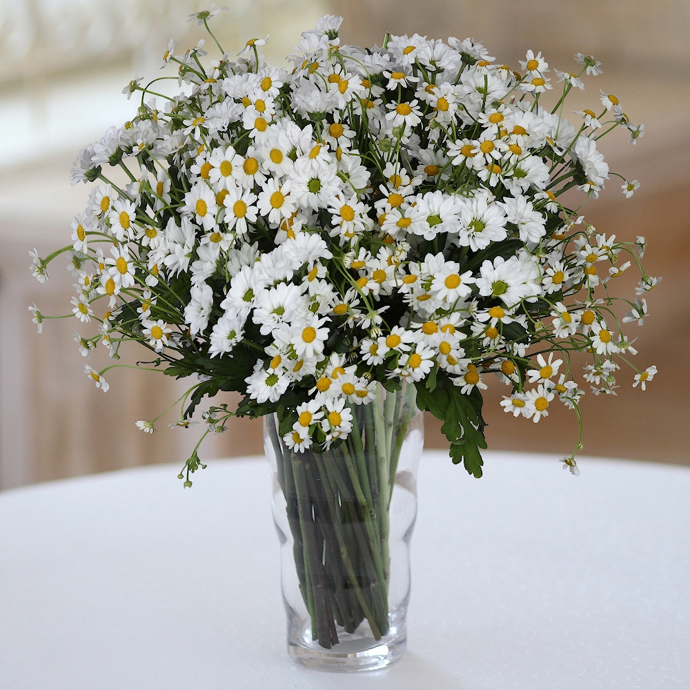 Bouquet Of Daisies Stud main image 0