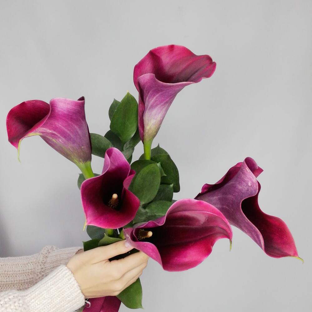 Bouquet 'Calla Lilies with Ruscus' - order and send for 42 $ with same ...