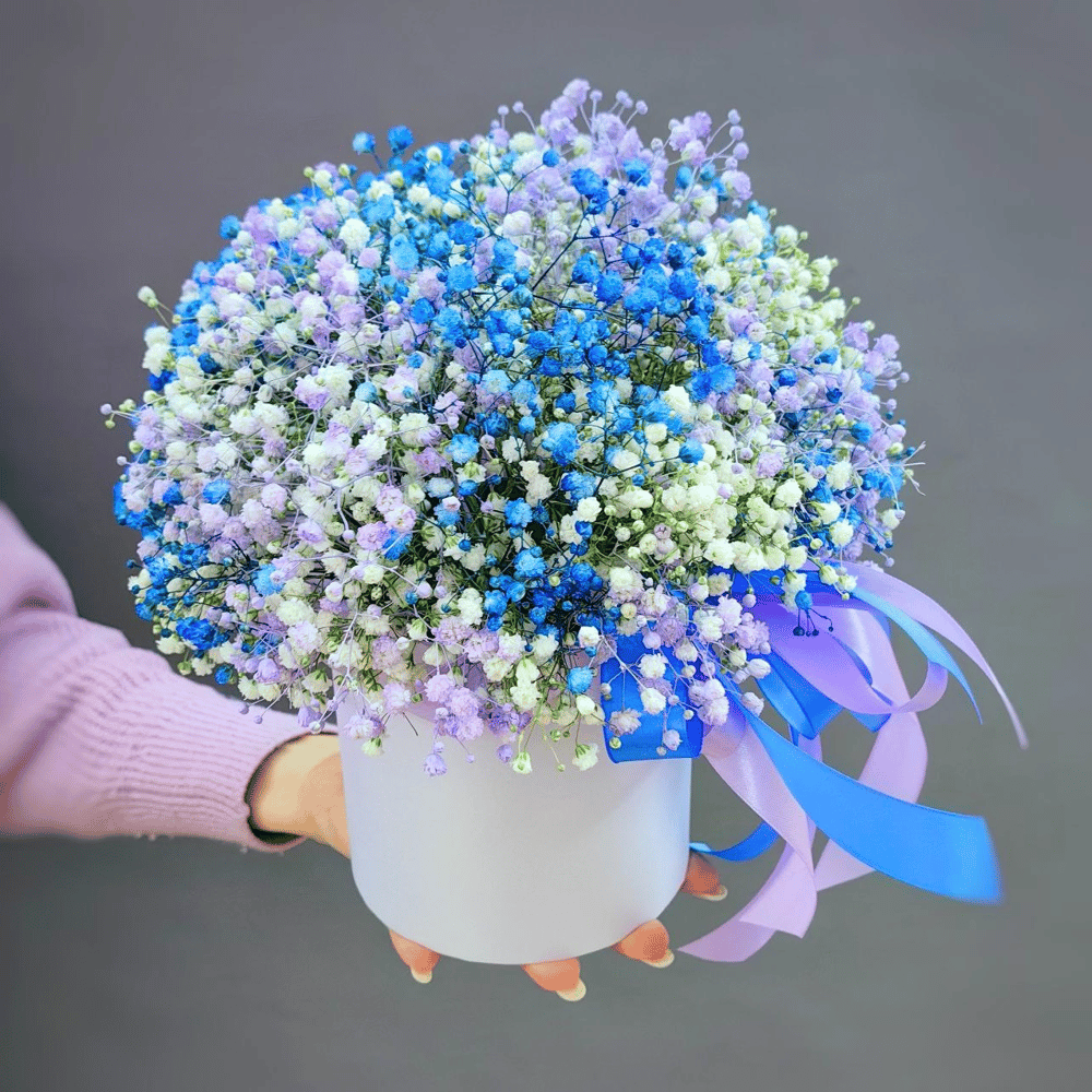 Hat box with flowers 'Box with colored gypsophila' Order Flower