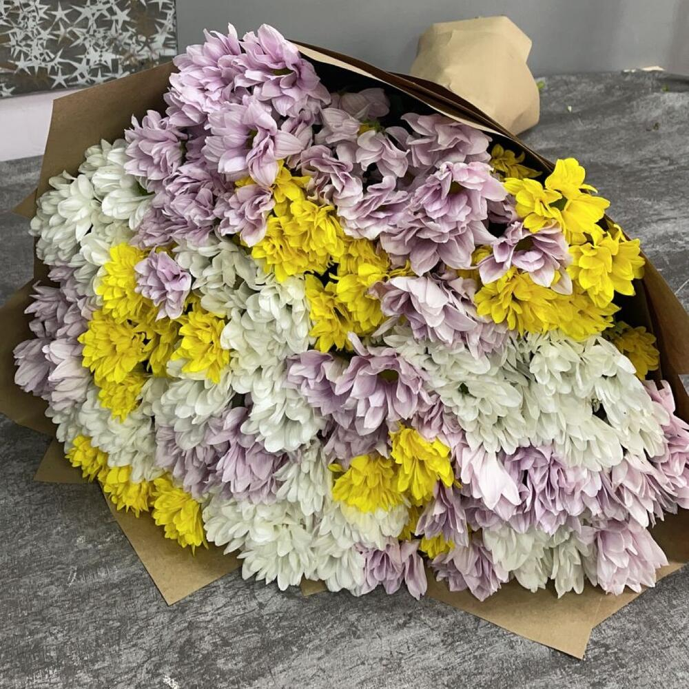 Bouquet of 20 Chrysanthemums order and send for 72 with same day
