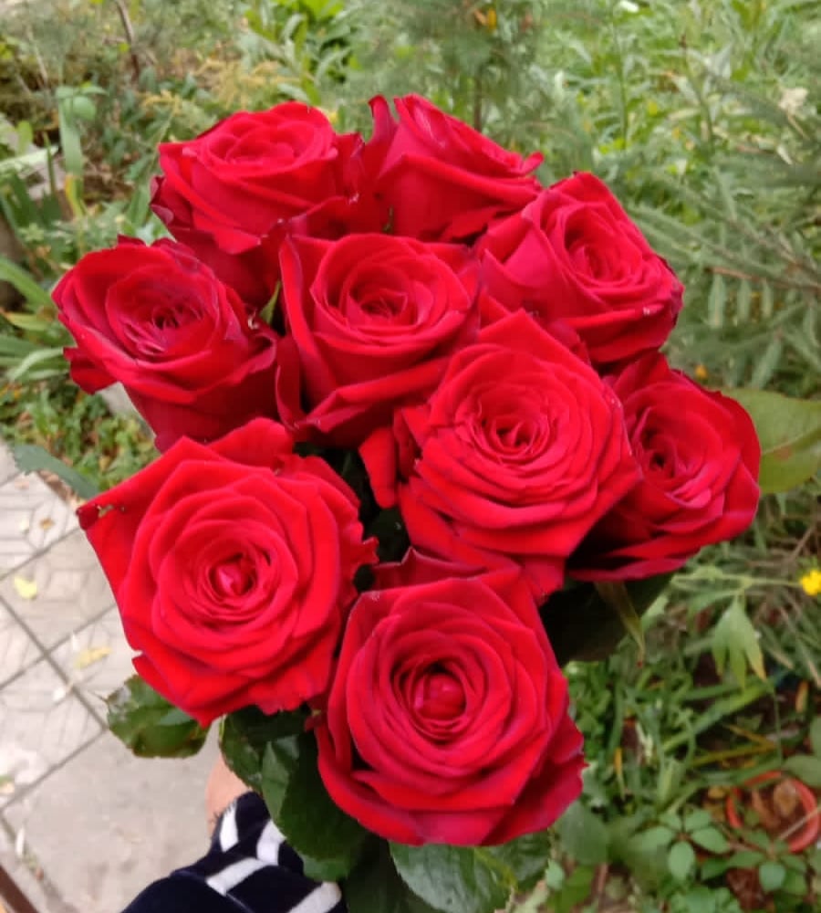 Bouquet 'Rose Red Naomi' - and send for $ with same day delivery -