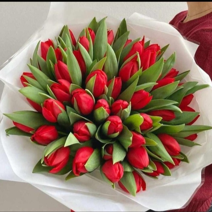 Red tulips discount