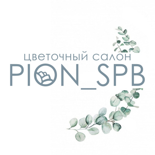 Pion_Spb_