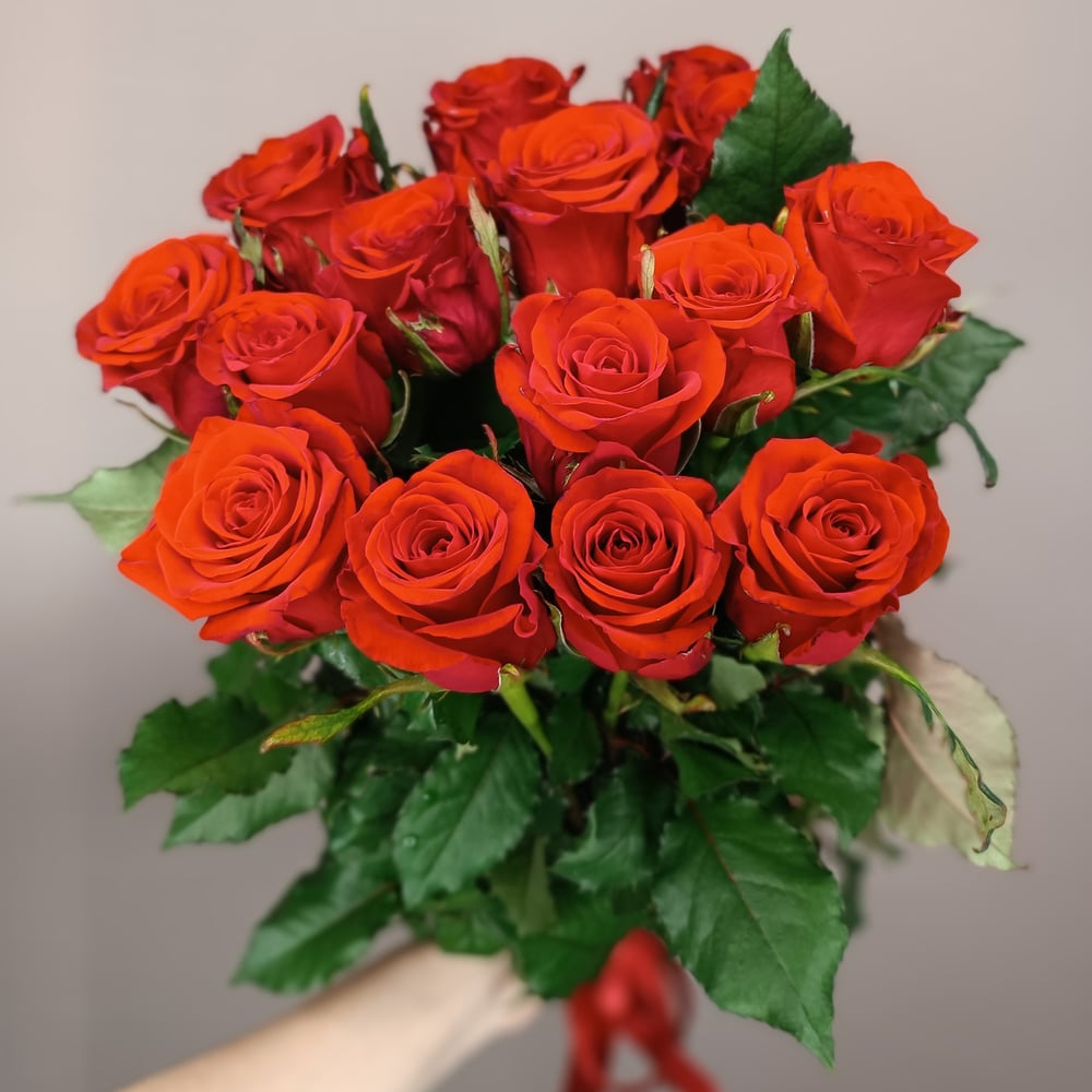 Bouquet '15 bright red roses with ribbon' - order and send for 62