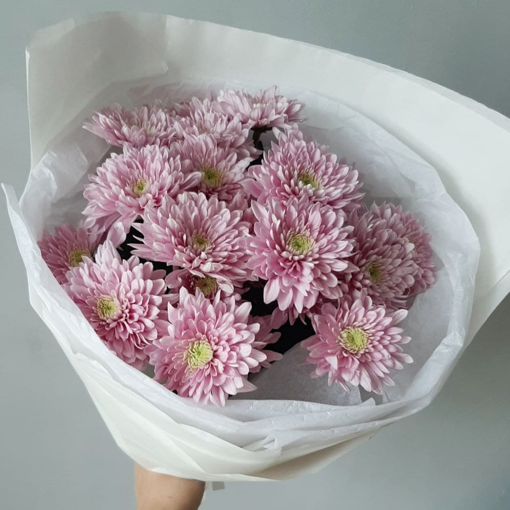 Pink Chrysanthemum Bouquet Pink Chrysanthemum Bouquet
