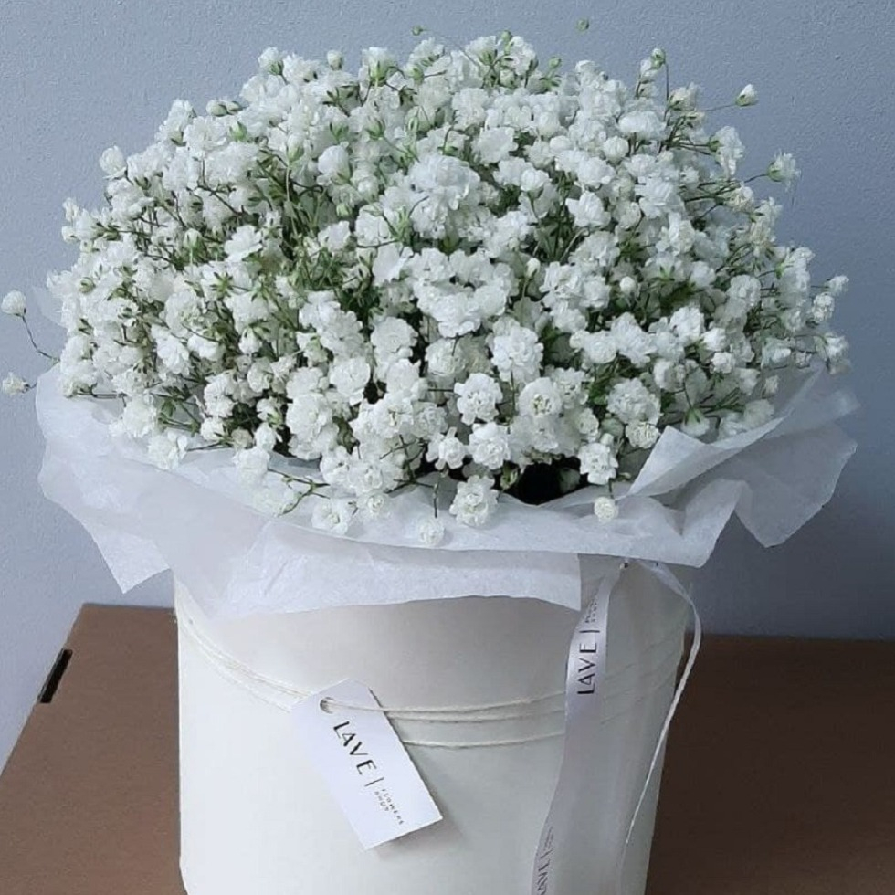 Weiße Gypsophila in einer Box bestellen und versenden für 22 € mit