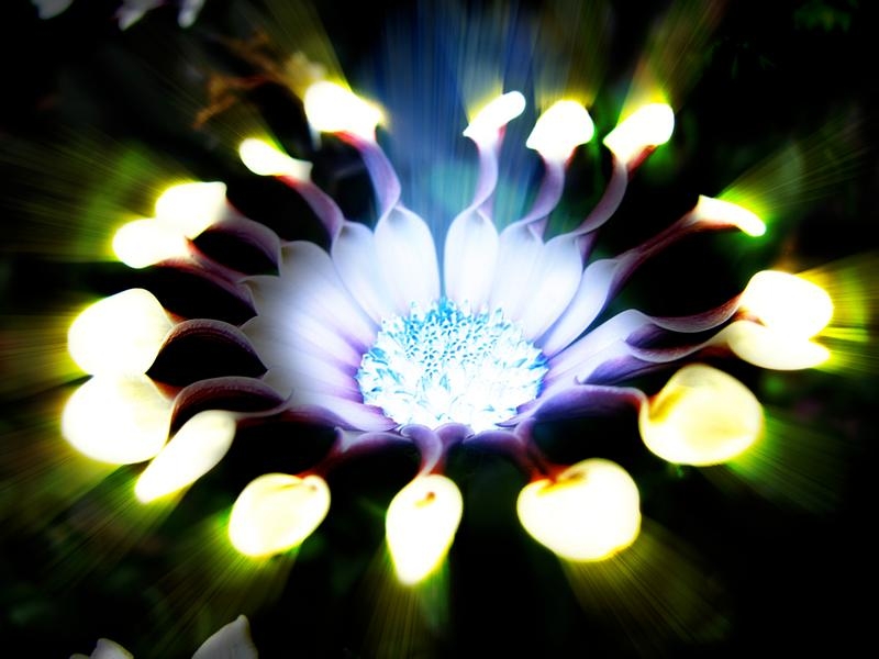 светящиеся куртки женские. светящиеся куртки для мальчиков. светящиеся вещи. зеленое свечение. светящийся слайм.