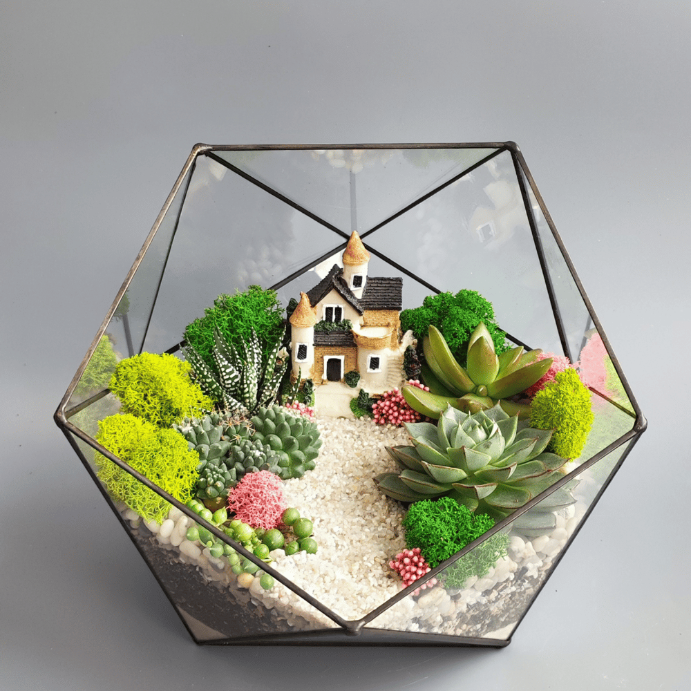 Florarium "Cat" Order Flower Bouquets Delivery