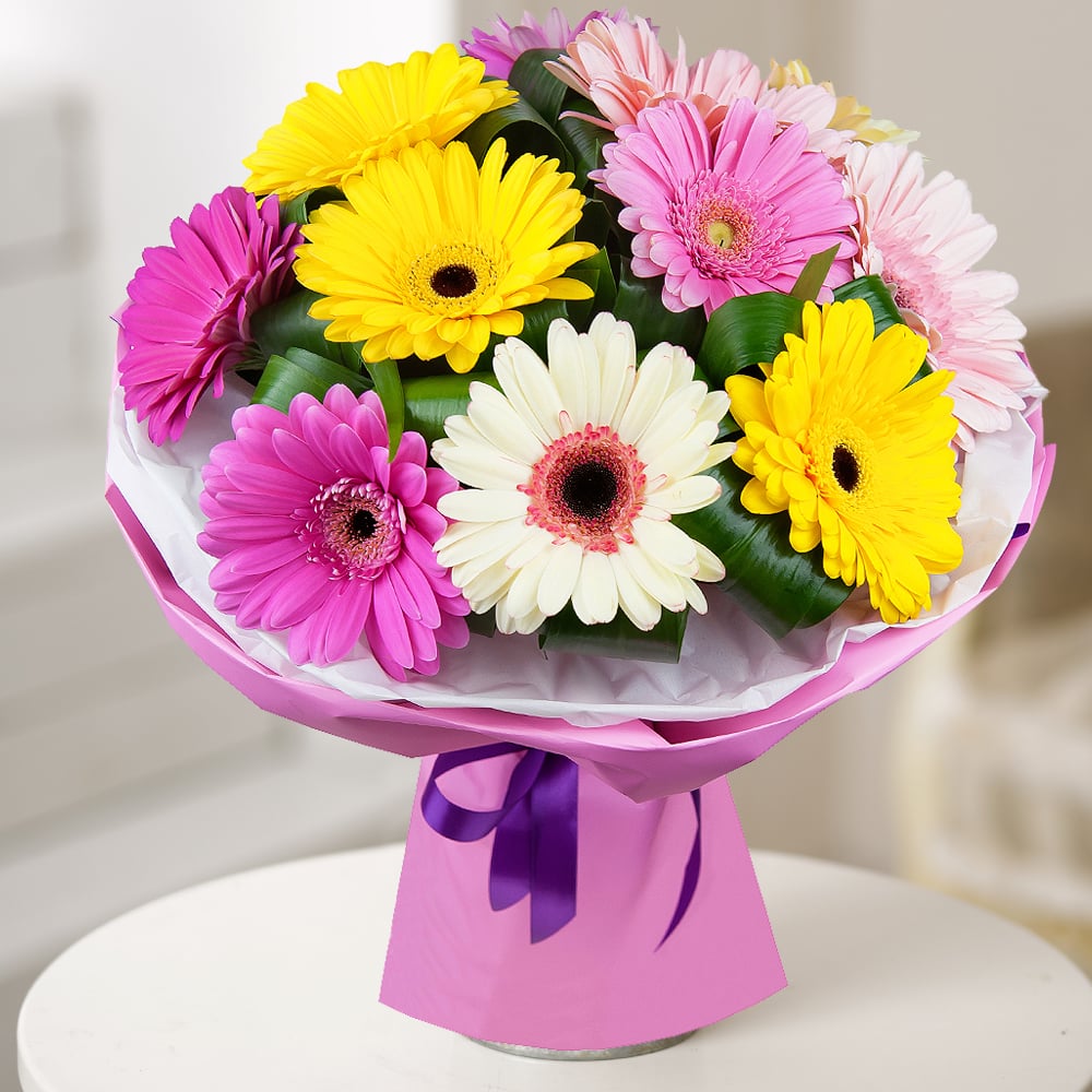 Gerbera discount