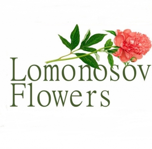 Lomonosov Flowers Москва