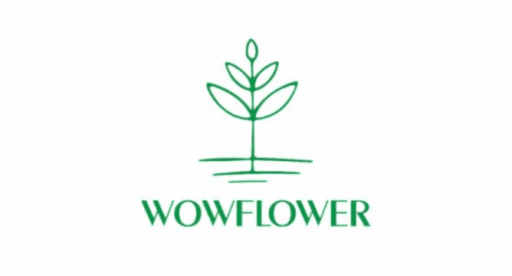 WOWFLOWER ALMET