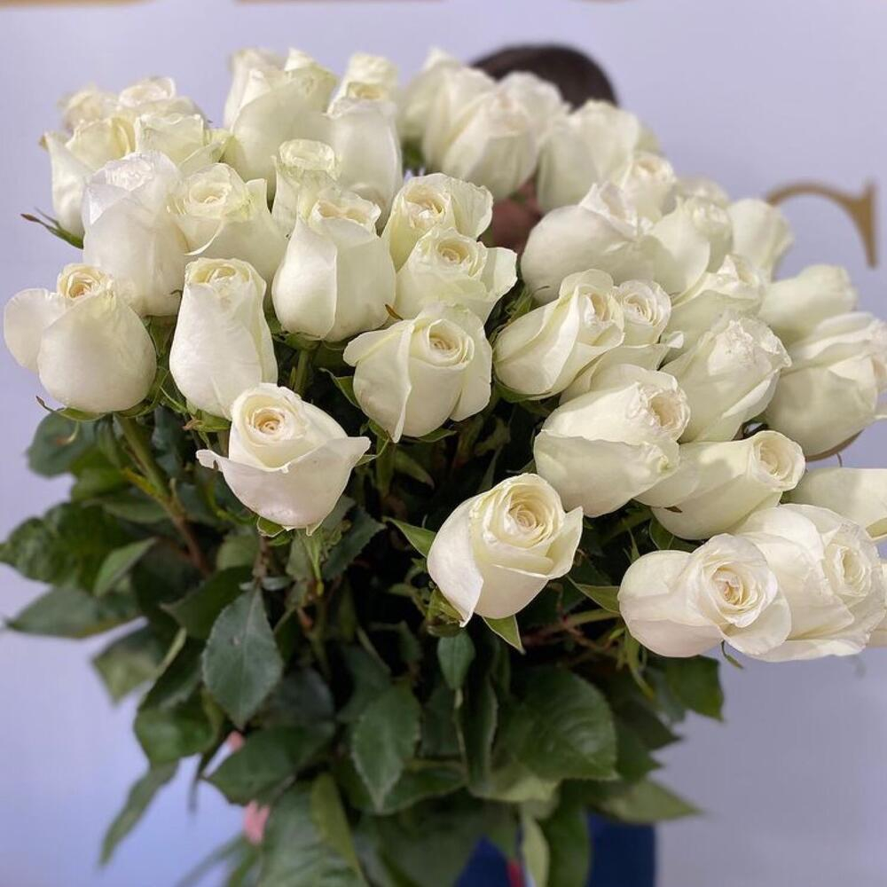 White Rose Bouquet (24 Stems) Melbourne Fig Bloom