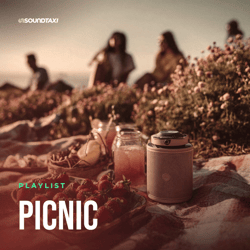 Picnic