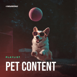 Pet Content