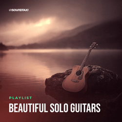 Beautiful Solo Guitars