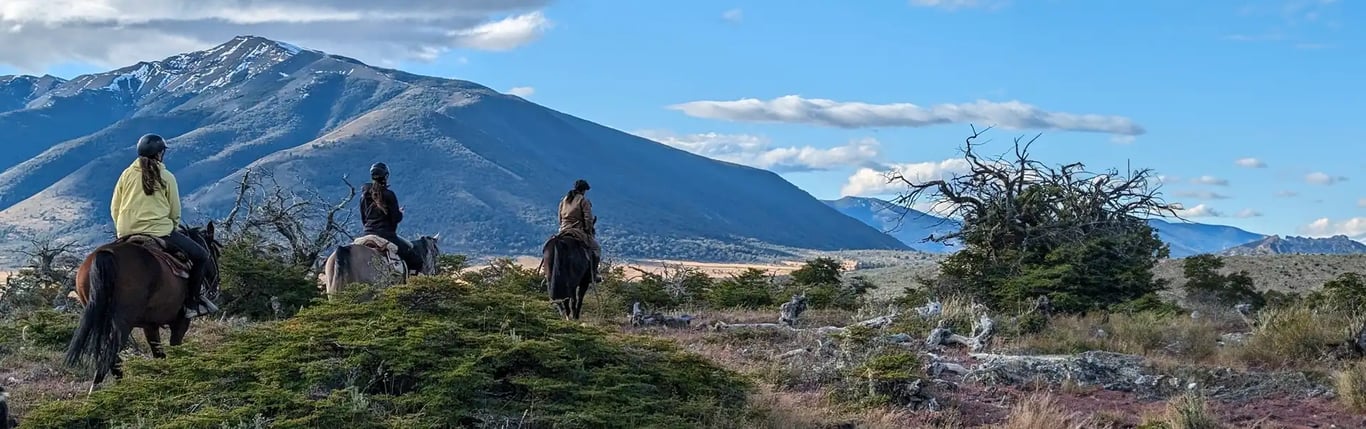 Transform your trip into a memorable experience