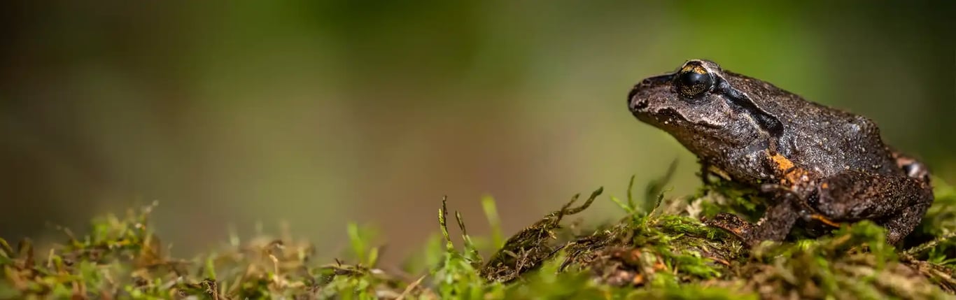 More than 150 sustainable tourism experiences