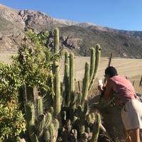 Ruta del Patrimonio Indígena en el Valle de Elqui thumbnail 5