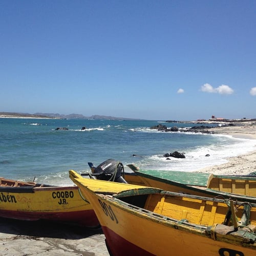 Tour Reserva Nacional Pingüino de Humboldt - 2