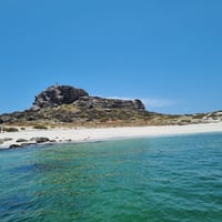 Tour Reserva Nacional Pingüino de Humboldt thumbnail 4