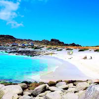 Tour Reserva Nacional Pingüino de Humboldt thumbnail 1