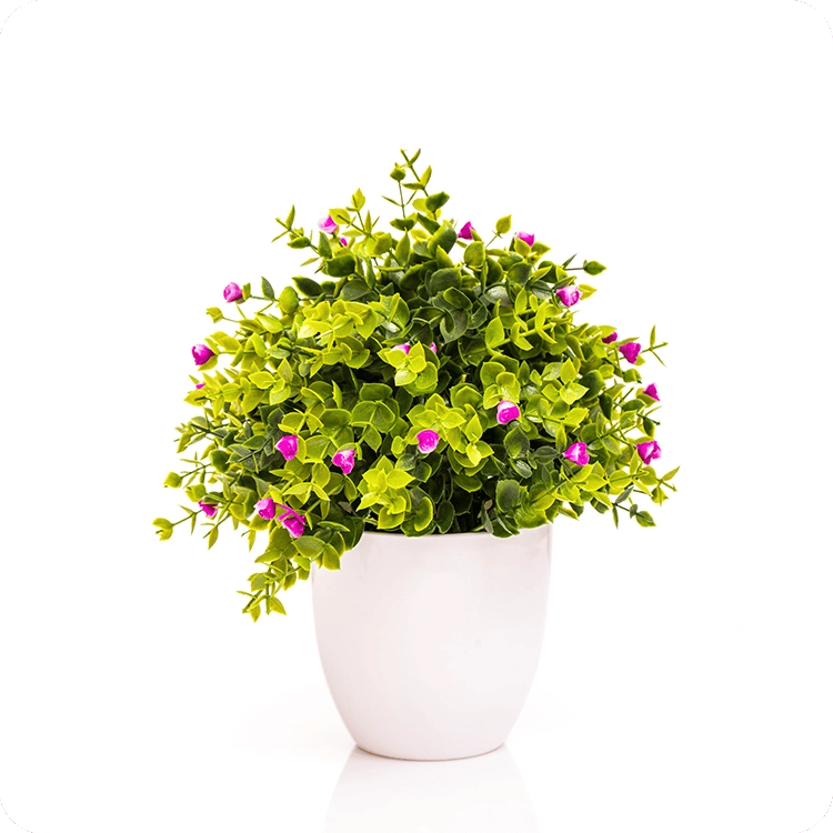 Sofa Clipping Path - After