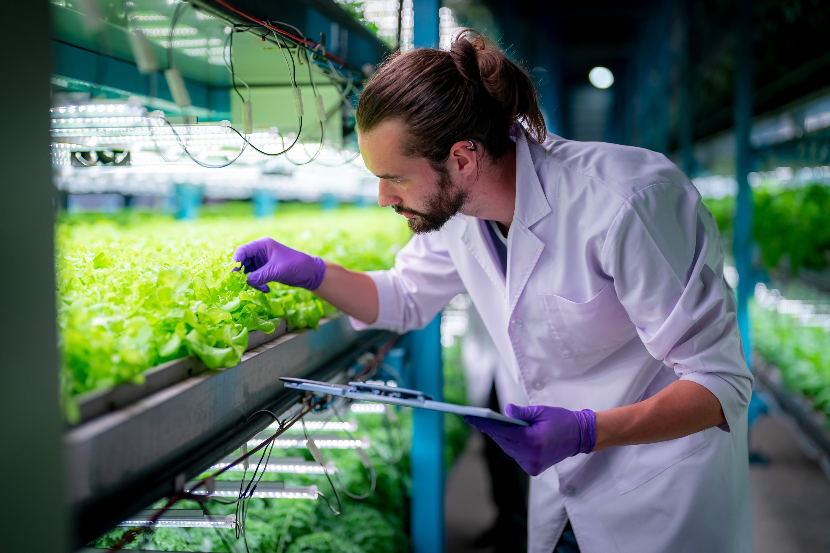 Man wearing white lab coat and latex gloves is holding a clipboard in one hand and is visually assessing a plant with the other. He is in a room with rows of plant shelving - a vertical farm.