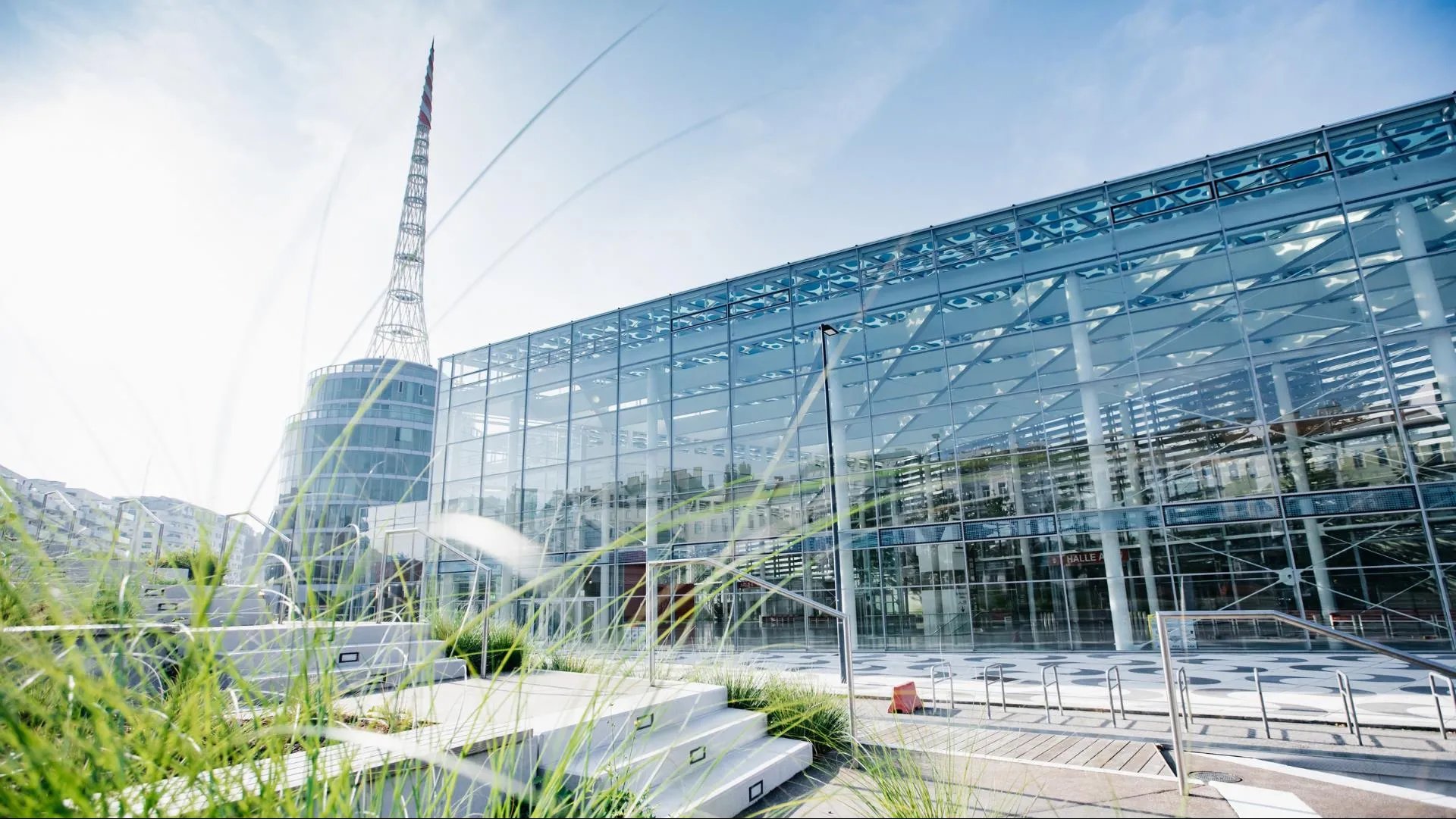 Vienna VIECON building with grasses in front 